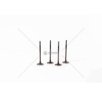 Inlet Valve QASHQAI 1.6 16V Mec-Diesel