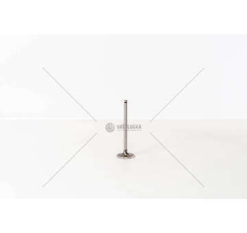 Inlet Valve QUBO/FIORINO 1.4 - 8 V. GAS IN Mec-Diesel