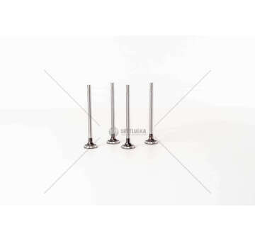 Inlet Valve R9M 408/414 - TALENTO/VIVARO 1.6 D IN Mec-Diesel