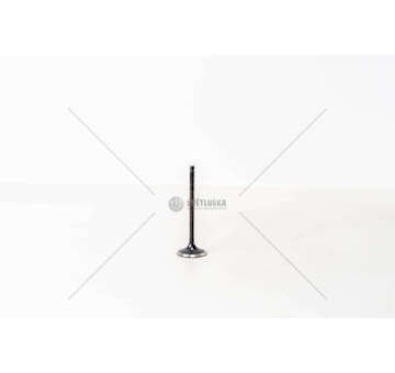 Inlet Valve SMART FORFOUR 1.1CC IN Mec-Diesel