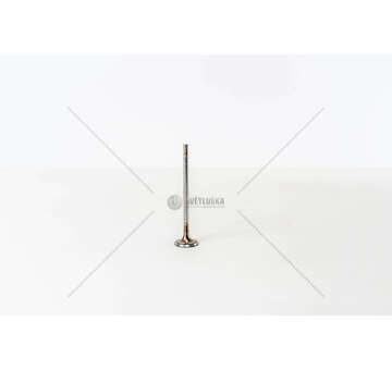 Inlet Valve STILO/CROMA 1.9/2.4 JTD 16/20 VALV. - IN Mec-Diesel