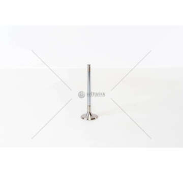 Inlet Valve TEMPRA 1.9 D./PUNTO 1.7 D IN Mec-Diesel