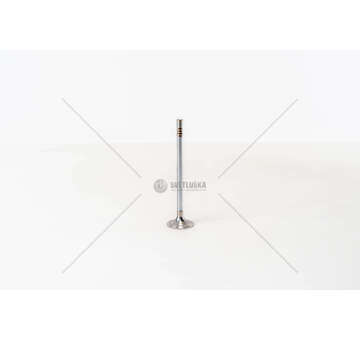 Inlet Valve TRANSIT 2.4 TDDI -DURATORQ ZSD-424 IN Mec-Diesel