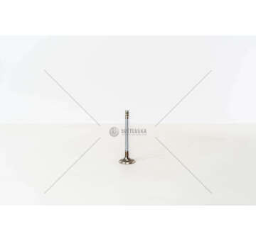 Inlet Valve TRANSPORTER 1.6/1.7D D.34 IN Mec-Diesel