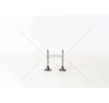 Inlet Valve TRANSPORTER 1.6/2.4 DIAM.36X IN Mec-Diesel