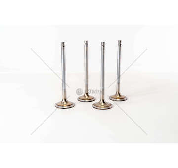 Inlet Valve WS 242/268/295/WS 315 G/L/M D.130 IN Mec-Diesel