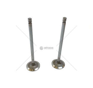 Inlet Valve XE 355 - XF 95/95 XF/85 CF - IN (2) TRW