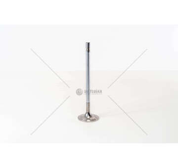 Inlet Valve XF 250/280/315/355M 4V E2 20° IN IN; 4 Mec-Diesel