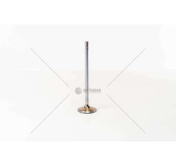 Inlet Valve XF 250/280/315/355M 4V E2 30° D.130 IN Mec-Diesel