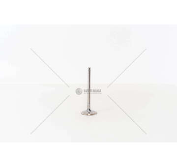 Inlet Valve XSARA-SAXO 1.6I IN Mec-Diesel