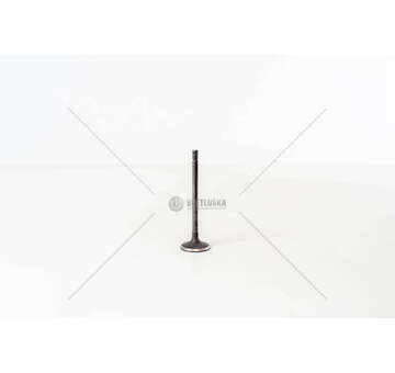 Inlet Valve YARIS/ MINI 1,4 TDI 1NDTV W17D14A Mec-Diesel