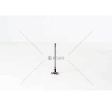 Inlet Valve YMF6/YMR6 - TRANSIT 2.0 PANTHER IN Mec-Diesel