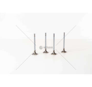 Inlet Valve Z20DM/DMH - ANTARA/CAPTIVA 2.0 IN Mec-Diesel