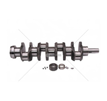 Kliková hřídel kompletní 83003519.IN