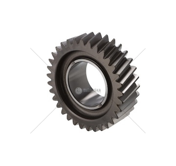 Kolo ozubené převodovky ZF EURORICA 95570912