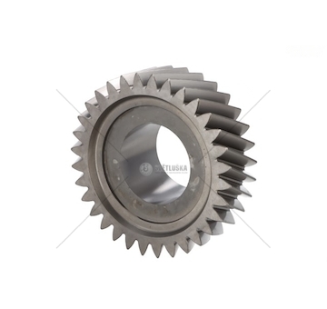 KOLO ZEBATE SKRZ.BIEGOW ZF ZF16S181/221 ZF 1316303071