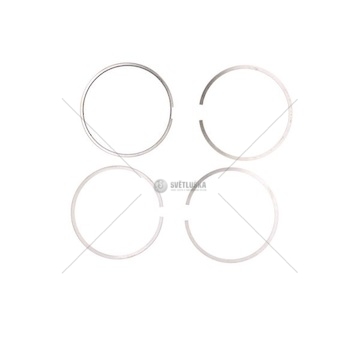 KPL.PIERSCIENI TLOKA RVI  10081