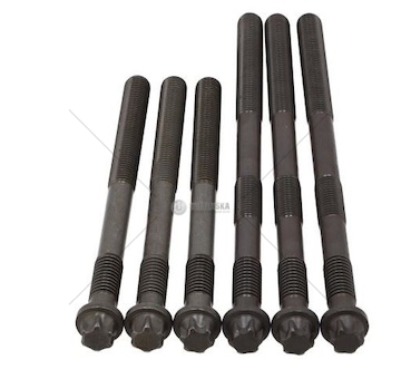 KPL.SRUB GLOWICY MAN TGA 10.03- OE GERMA 020121287609