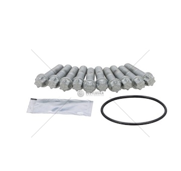 KPL.SRUB PIASTY SAF M14X1,5X65MM PETERS 066.185-10A