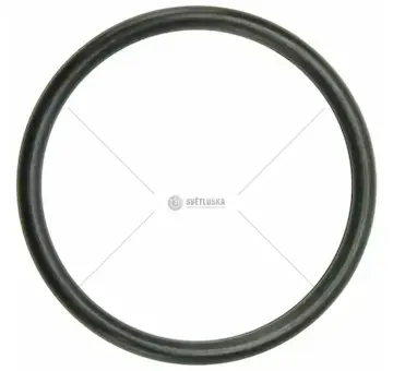 Kroužek 25x2 čsn029281.2 guma | 93-2152