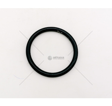 Kroužek 65x55 38254 (54,1x5,8) PN