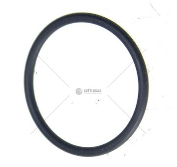 Kroužek akumulátoru intardéru ZF IVECO EURORICA 95534396