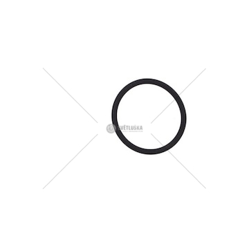 Kroužek chladiče intardéru ZF 45X4 ZF 0634313092