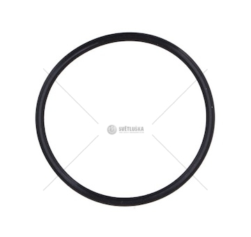 Kroužek DAF DAF 2022929