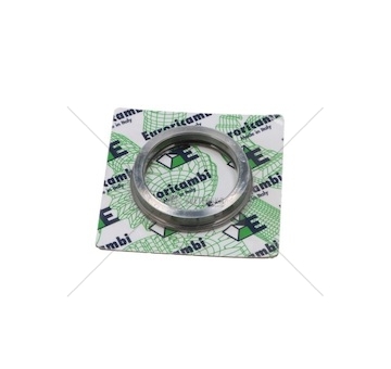 Kroužek převodovky ZF 18MM EURORICA 95534373