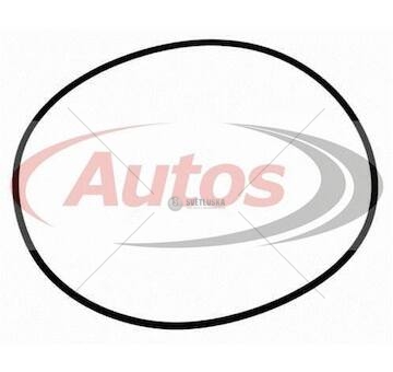 Kroužek těsnící náboje kola 255x5 man f2000, f90, l2000 0103713_A