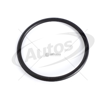 Kroužek těsnící vodního čerpadla daf cf85, xf95, xf105 0153040_A