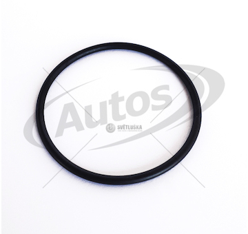 Kroužek těsnící vstřikovače paliva daf 105xf 0160354_A