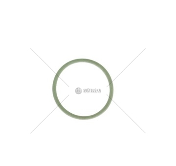 Kroužek uložení vstřiku RVI RVI 7420799006