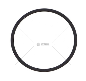 Kroužek vstřikovače DAF XF 95,105 DAF 1664755