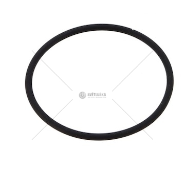 Kroužek vstřikovače DAF XF 95,105 DELPHI 7200-0027