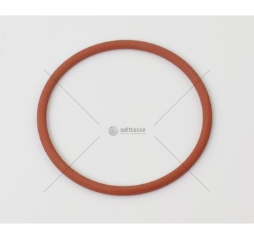 Kroužek vstřikovače DAF XF 95,105 DELPHI 7200-0071