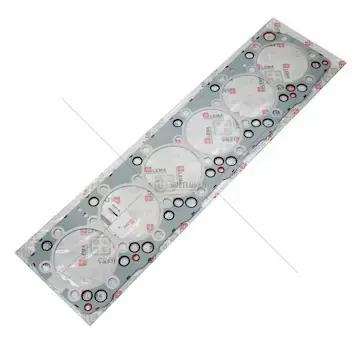 Lema těsnění hlavy | S504385500
