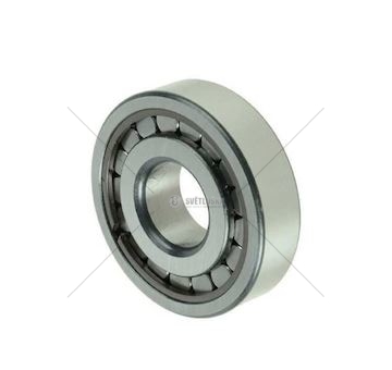 Ložisko diferenciálu MAN L2000 EURORICA 98170353