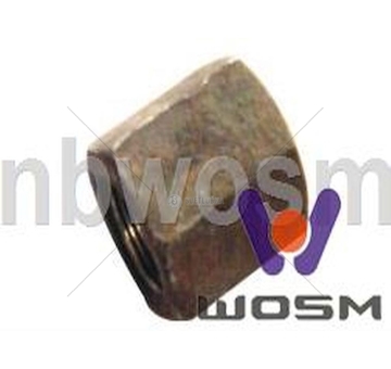 Matice třmenu DAF WOSIMAN D-167