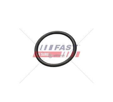 O-kroužek Fiat Ducato 06> obal termostatu 2.2 HDI FT49927