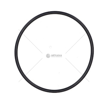 O-RING DAF XF105 DAF 1661256