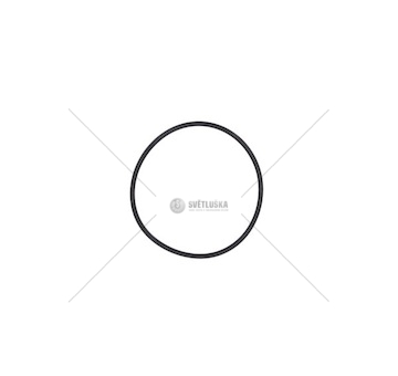 O-RING DAF XF105 LEMA LE105264