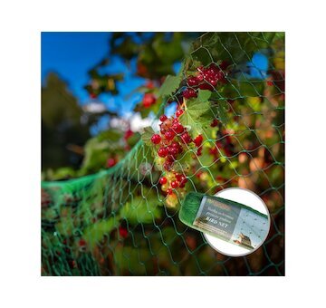 Ochranná síť proti ptákům 2x10m 10g/m2 BIRD NET