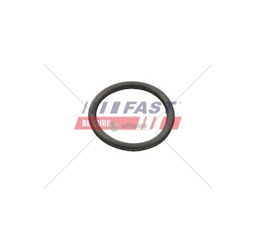 Oring citroen jumper 06> čerpadlo vody 2.2 hdi ft49934