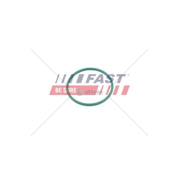 Oring citroen jumpy 07> turbíny 1.6 hdi 16v ft49921