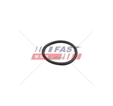 Oring mercedes sprinter 06> 906 chladič 39.3mm ft49918