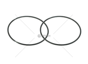 ORING OBUDOWY POMPY PRZYSTAWKI ZF NMV221 EURORICA 95536695