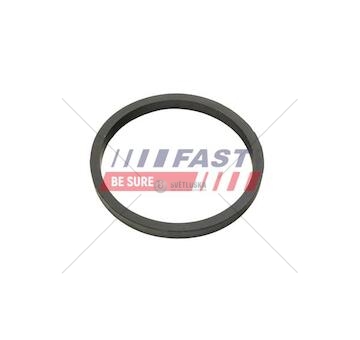 Oring vw caddy iii 03> chladič olejový   crafter 06> 2.5 tdi ft49924