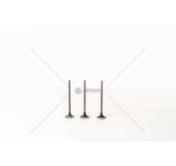 Outlet valve 1.2 BZ HMZ/HNZ/HNP - 208/308 EX. Mec-Diesel