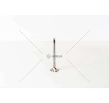 Outlet valve 1.7 D FIORINO/PUNTO/1.9D DUCATO EX Mec-Diesel